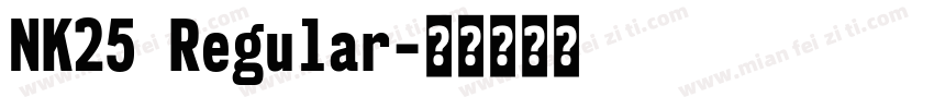 NK25 Regular字体转换
